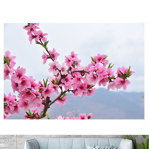 自然风景画唯美桃花姻缘树桃花运海报制作房间卧室寝室贴画墙画6