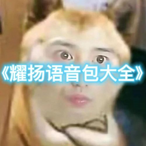 耀扬语音包超全300个(送头像抠图 表情包 耀扬名曲)