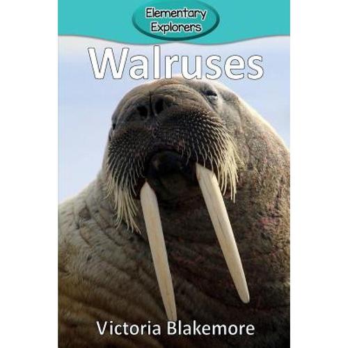 预订 walruses