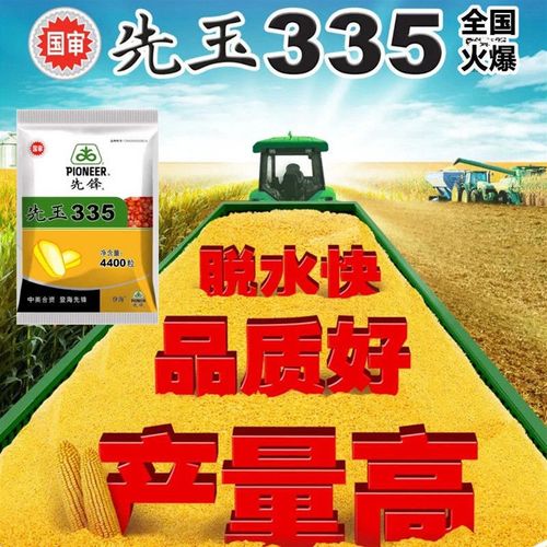 先玉335玉米种子第红轴一抗倒名四川山东好品牌玉米种子包邮