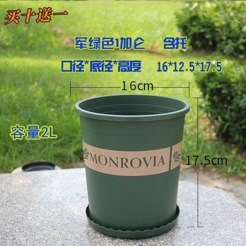阳台种花种菜园艺月季花盆 绿色1加仑含托买十送一 大