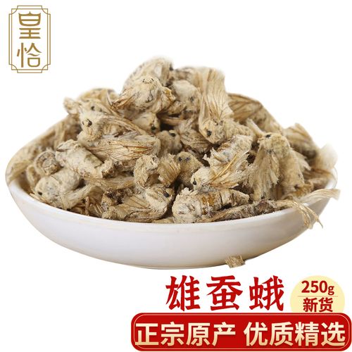 皇恰东北雄蚕蛾未交配 熊蚕蛾粉公补片 原蚕蛾 晚蚕蛾 晚蝉俄天蛾男性