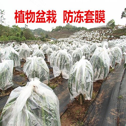 花卉果树防冻袋防寒袋冬季植物保温加厚袋盆栽多肉防雪套膜塑料袋