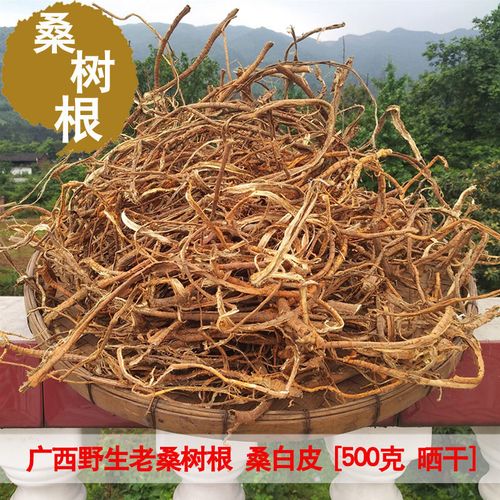 野生桑树根无硫中药材 桑白皮正品特级 老桑椹树根 桑叶根500克