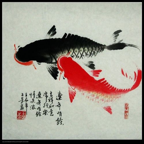 真迹 字画家居装饰画一尺斗方太极鱼 双鱼图 年年有余e138