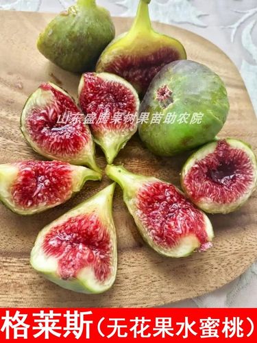 格莱斯无花果苗糖心水蜜桃无花果树苗盆栽地栽种植当年结果果树苗