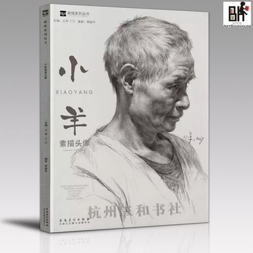 小羊素描头像2019前线系列贾晓羊人物学院五官头发对画步骤临摹14