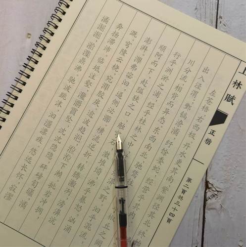 上林赋诗词周生如故周边任嘉伦白鹿一生一世学生楷书簪花小楷字帖