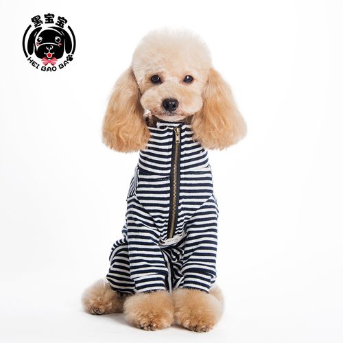 公狗母狗包肚子四脚衣服小狗狗衣服四脚裤春秋装泰迪衣服春季防.