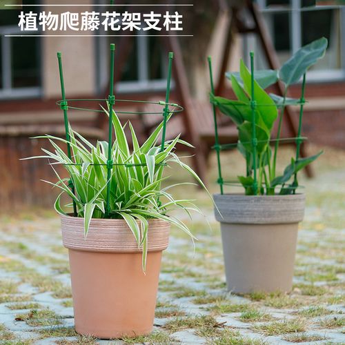 爬藤架子花支架月季花架植物盆栽室内花卉支撑杆园艺铁线莲攀爬架