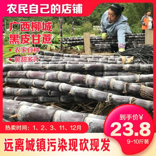 广西柳城黑皮甘蔗农家自种现砍现发新鲜多汁脆皮甘蔗10斤装孕妇果