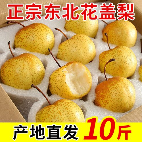 东北特产花盖梨10斤软梨子孕妇水果酸甜脆梨非香水梨南果梨5斤