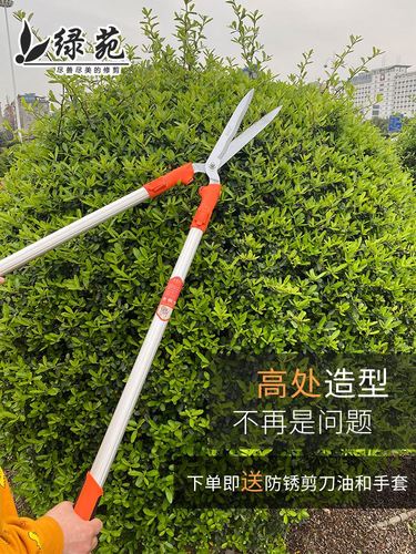 园艺花剪绿化大剪刀园林修花修枝剪花木剪草修草坪绿篱剪强力剪刀