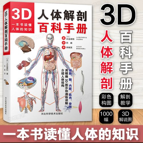 3d人体解剖百科手册 人体解剖学彩色学图谱人体解剖学入门书 西医解剖