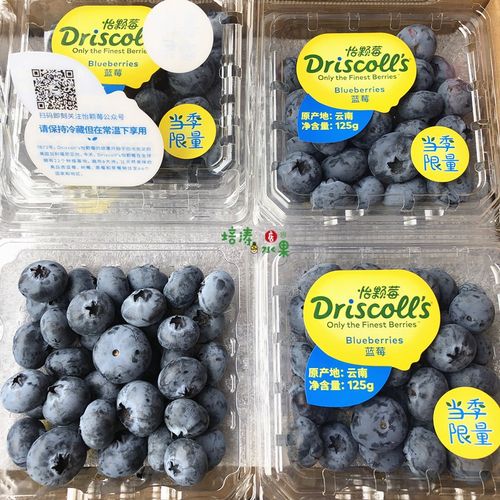 云南当季限量怡颗莓蓝莓 大蓝莓4盒装新鲜果包jd顺丰 f 套餐一:4盒装