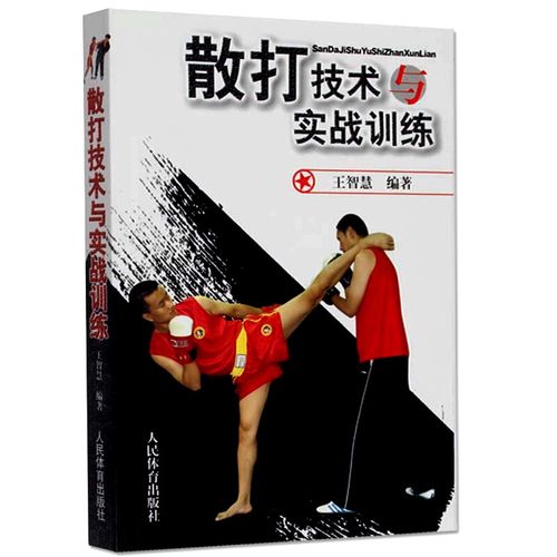 训练书籍 中国武术书籍 拳击书籍教程技巧图解 散打的书实用 基础入门