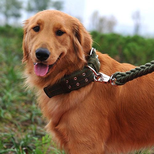 狗狗牵引绳大中型犬遛狗绳子宠物用品金毛拉布拉多德牧狗链子项圈