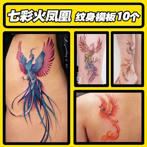 ophir七彩孔雀纹身模板涅槃凤凰半永久镂空图案贴手臂背部腿部图
