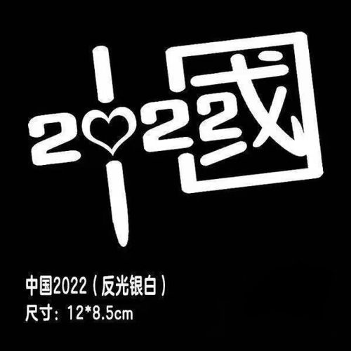 汽车贴纸反光车身门划刮痕遮挡七彩网红抖音 反光银色 2022中国12*8
