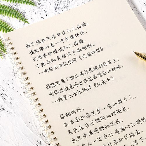 行楷字帖温润琳琅手写女生字体漂亮少女练字本成年大学生奶酪字体网易