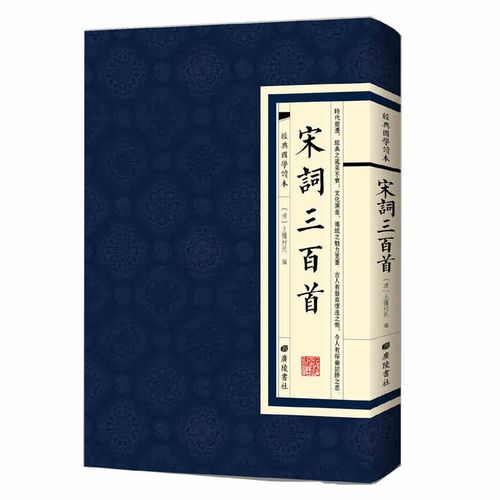 宋词三百首经典国学读本清上疆村民繁体竖版原文书籍9787555409342