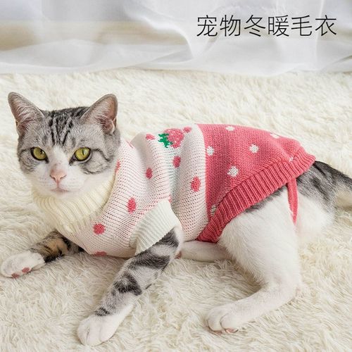 云淘小猫衣服猫咪衣服毛衣小奶猫防掉毛泰迪秋冬装宠物猫英短蓝猫