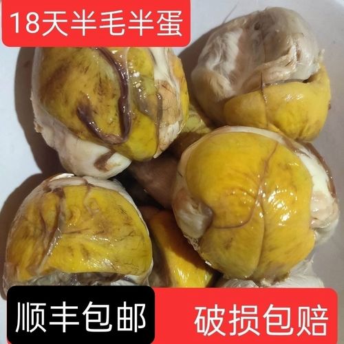 新鲜15-18天毛蛋生毛鸡蛋鸡胚蛋旺蛋喜蛋实蛋批发非活珠子凤凰蛋