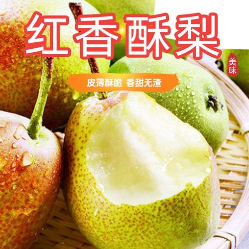 优质山西红香酥梨现摘现发红香酥梨香梨产地直发红洪