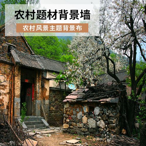 农村网红风景主播背景墙3d立体背景墙图窑洞土房草原背景快手直播间