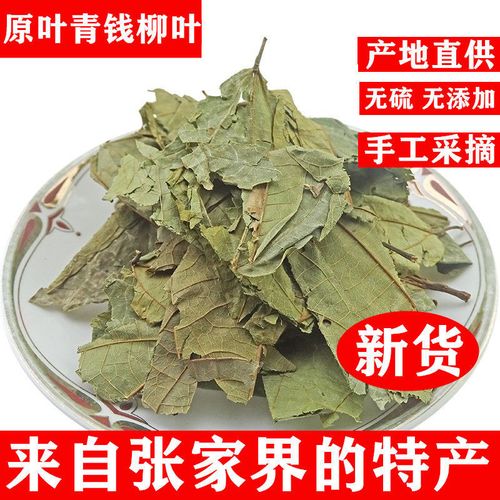 正品中药材青钱柳叶 金钱柳 青钱柳 青钱柳茶中草药包邮