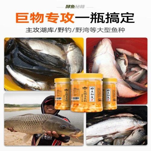 汉鼎嫩玉米粒鱼饵料野钓颗粒春夏鱼食青鲟鱼搭配鲤鱼鲫鱼鱼料窝料