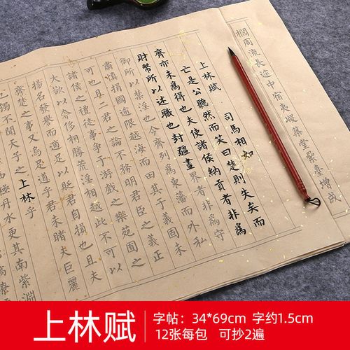 卷轴初学者洒金毛笔书法临摹字帖 字帖 上林赋【34*69cm】12张/2遍