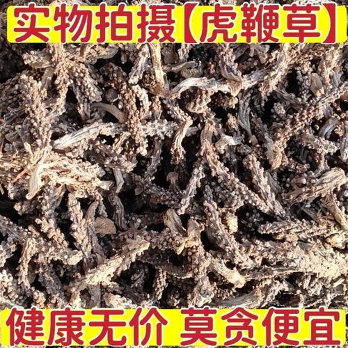 【中药材】虎鞭草顶天柱子孙草起阳草云南苗家养生泡酒料批发包邮