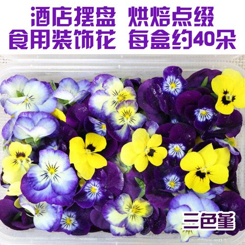 新鲜三色堇鲜花食用花三色花鸢尾花角堇酒店西餐摆盘30-40朵/盒