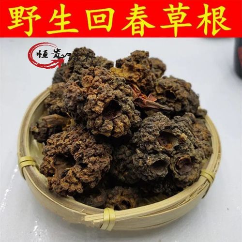 淳滋堂野生回春草整颗整株草苁蓉顶天柱不老草泡酒料泡水 回春草根200