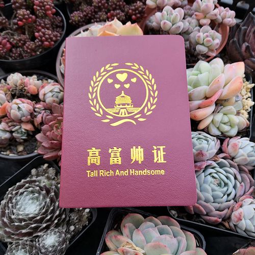 高富帅证书 搞笑奖状 个性创意定制整蛊恶搞怪礼品千奇百怪礼物