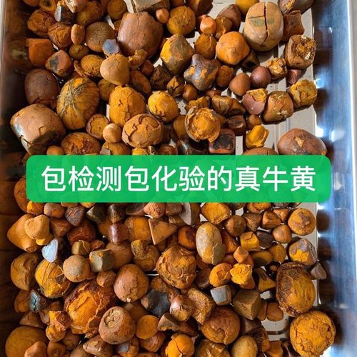 纯天然牛黄 正品天然牛胆黄 粉 牛结石 正品保化验 1克 100%干货