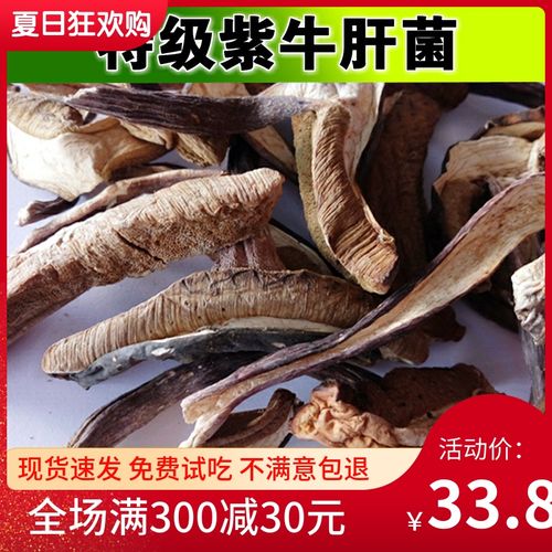 紫牛肝 野生菌美味紫牛肝菌干货云南蘑菇餐馆香菇散装100克 包邮