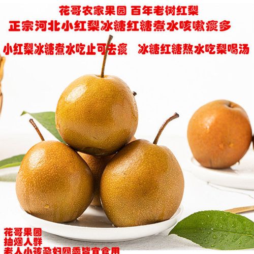 小红梨址咳新鲜孕妇水果沙梨5斤酸红梨冰糖熬水宝宝咳嗽痰多雪梨