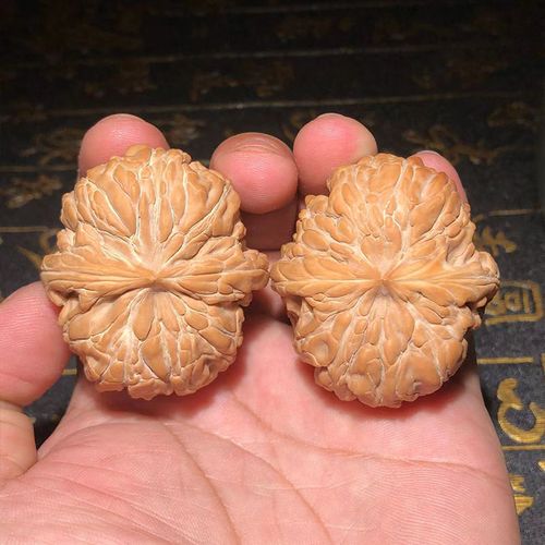 文玩把玩野外生小众麻核桃暴雪狮子头元宝宫灯蛤蟆头大粗筋南疆石