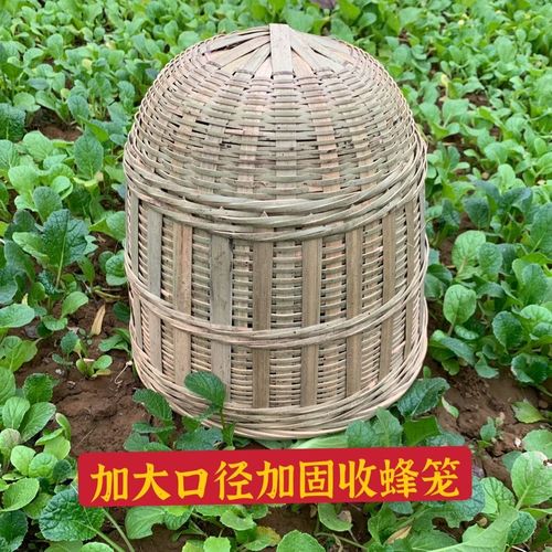 养蜂工具新款加固收蜂笼加大口径竹编竹青编收蜂野外诱蜂分蜂中蜂