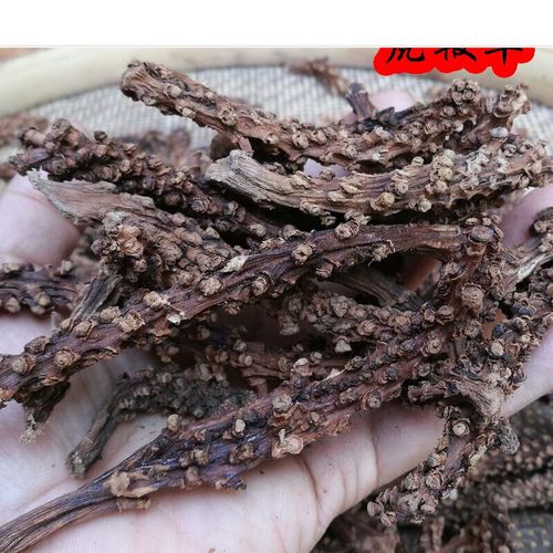 伟博 中药原材料虎鞭草 子孙草 硬劲草云南野外生长苗药 500克