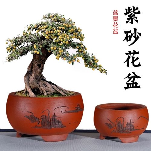 小花盆,小盆景,紫砂花盆 多肉花盆 老桩盆,阳台盆景花盆批发.