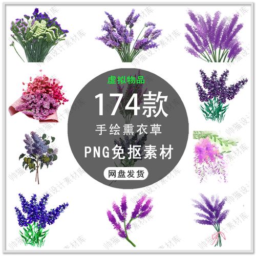 手绘熏衣草唯美紫罗兰蝴蝶兰熏衣草花卉熏衣草插画png