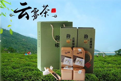 2021新茶上市连云港花果山特产云雾茶嫩芽毛尖高山绿茶礼盒装