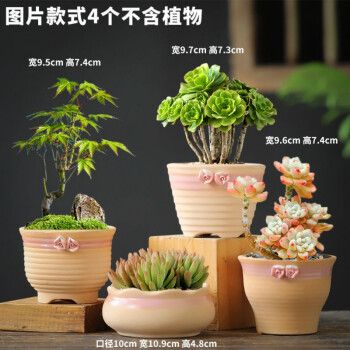 多肉花盆陶瓷素烧粗陶老桩室内透气大号小花盆肉肉植物盆批发 ldd-小