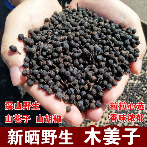 新货野生木姜子山胡椒山仓子干货山苍籽无提炼火锅烧烤250g调味料