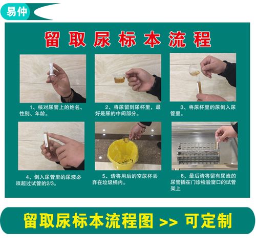 留取尿标本流程图顺序挂图|五六七步洗手方法|医院宣传海报墙贴画