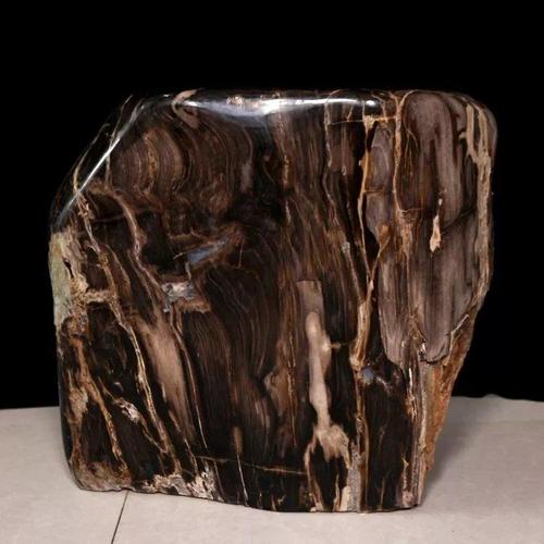 辽西朝阳木化石树化玉硅化木原石摆件天然奇石观赏石