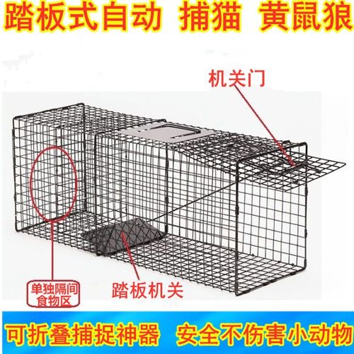 全自动捕猫神器 抓猫笼诱捕逮猫捉猫笼驱赶野猫流浪猫工具 可折叠